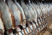 女人夢(mèng)到白色的魚(yú)，寓意與解讀，女人夢(mèng)到白色魚(yú)的寓意與解讀