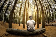 夢到親人離開，心靈的觸動(dòng)與思考