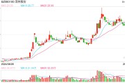 機(jī)器人概念連續(xù)反彈，科創(chuàng)50指數(shù)半日漲0.45%