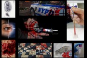 緊急警情通報，多起盜竊案件發(fā)生，警方全力追查！市區(qū)多起盜竊案緊急通報，警方全速追查中