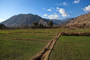 夢(mèng)到火燒山的深層解讀，夢(mèng)到火燒山的深層解讀
