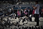 夢(mèng)中的驚魂時(shí)刻——一次車禍的夢(mèng)境之旅，夢(mèng)中的驚魂時(shí)刻，車禍夢(mèng)境的探索之旅