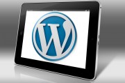 WordPress網(wǎng)站統(tǒng)計插件全攻略，助你深入了解網(wǎng)站訪客行為