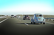 賽車之夢，速度與激情的交織，賽車之夢，速度與激情的交織