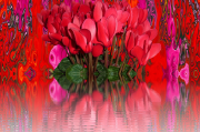 夢(mèng)中的花語(yǔ)，夢(mèng)中的花語(yǔ)，探尋心靈之語(yǔ)。