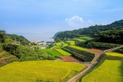 湘西網(wǎng)站流量，助力鄉(xiāng)村振興的數(shù)字引擎