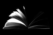 探討PS人像插件網(wǎng)站，提升攝影創(chuàng)作能力的新工具，從新手到專業(yè)，探索PS人像插件網(wǎng)站提升攝影創(chuàng)作能力的新工具