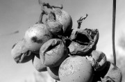 夢(mèng)到被蛇追著咬，解讀夢(mèng)境的深層含義，夢(mèng)境解讀，被蛇追咬的深層含義