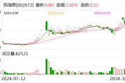 凱瑞德：公司董事長、總經(jīng)理紀(jì)曉文解除留置