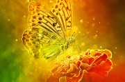 體驗無限可能的戶外游戲，免費游戲的無限可能，挑戰(zhàn)極限，自由游戲——您的戶外冒險樂趣新起點