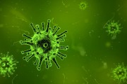 澳大利亞出現(xiàn)新冠新變種 FluQE：傳染性更高，幾周內(nèi)病例或激增