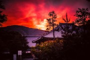廟宇之夢，心靈的尋覓與覺醒