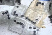 315在行動(dòng)|賽博鬼秤？直播間買8盒藍(lán)莓每盒才5顆 別讓網(wǎng)購(gòu)“攔”住份量“沒”了良心