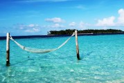 夢中的大魚之旅，夢中的大魚之旅