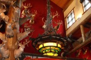 VR免費(fèi)游戲下載體驗(yàn)大揭秘，全新VR游戲大全，試玩各類VR免費(fèi)游戲體驗(yàn)