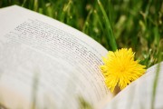 法律視角下的當(dāng)下時(shí)事熱點(diǎn)新聞解讀，法眼觀潮，法律視角深度解析時(shí)事熱點(diǎn)