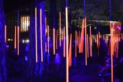 夢中喜宴，一場難忘的盛宴，夢中喜宴，難忘的盛宴之旅