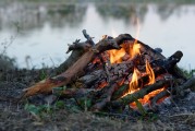 全球熱門大逃殺游戲，免費(fèi)下載與體驗(yàn)，全球熱門大逃殺游戲，免費(fèi)下載體驗(yàn)一覽