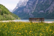 今日全球熱點(diǎn)新聞，鄉(xiāng)村風(fēng)景之美，全球視角下的鄉(xiāng)村美景，今日熱點(diǎn)新聞聚焦