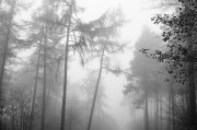 煙囪之夢，探索夢境中的神秘符號，煙囪之夢，探索神秘符號的夢境之旅
