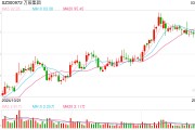 董事長被留置并立案調(diào)查 股價盤中一度跌超10% 萬辰集團如何化解危機？