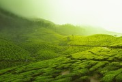 普洱新聞，茶都發(fā)展新篇章，普洱茶都新紀(jì)元，共繪發(fā)展新篇章