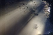 夢中情愫，解析夢中有人喜歡自己的心理奧秘，解析夢中有人喜歡自己的心理奧秘，夢中情愫的探索