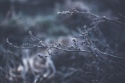 體驗(yàn)自由無拘無束的游戲世界——免費(fèi)主機(jī)游戲的魅力解析，如何領(lǐng)略自由無拘無束的游戲世界，從免費(fèi)主機(jī)游戲的特性解析