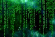 扒網(wǎng)站插件，揭秘網(wǎng)絡數(shù)據(jù)抓取的神秘工具