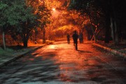 夢(mèng)中奔跑的啟示，夢(mèng)中奔跑的啟示