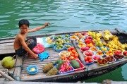夢(mèng)中的捉魚之旅，未果的期待，夢(mèng)中的捉魚之旅，未果的期待之旅