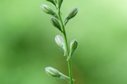 搭建菠菜網(wǎng)站的重要性與步驟，重要性，為何搭建菠菜網(wǎng)站？步驟指南