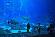 日照市是中國山東省的一個海濱城市，擁有豐富的旅游資源和文化底蘊。隨著互聯(lián)網(wǎng)技術(shù)的發(fā)展，日照的旅游業(yè)也在不斷壯大。日照網(wǎng)站優(yōu)化的重要性不言而喻。，日照，中國山東省海濱城市的旅游資源與文化魅力