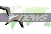 頭條農(nóng)家飛兒，從地頭到云端的飛行世界