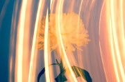 CCG（Collective Content Game），一個(gè)讓玩家盡情探索的免費(fèi)游戲世界，自由探索，無拘無束！體驗(yàn)CCG的魅力，免費(fèi)游戲世界之旅