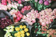 注冊了有錢花如何注銷，詳細(xì)指南助你輕松解綁，有錢花賬戶注銷全攻略，輕松解綁，告別繁瑣步驟