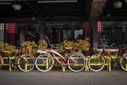 "車庫禁停新能源車"？廣東省博物館回應