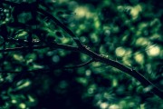 夢(mèng)到鼻子壞了，一次心靈的覺(jué)醒