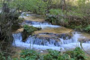 夢(mèng)到淌水，心靈與自然的交融，夢(mèng)中的淌水，心靈與自然的交融之旅