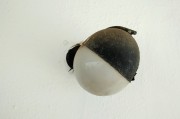 夢境中的蛆——探索內(nèi)心深處的象征意義，夢境中的蛆，探索內(nèi)心深處的象征意義