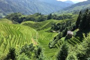 農(nóng)業(yè)新聞，綠色轉(zhuǎn)型下的中國農(nóng)業(yè)新篇章，綠色轉(zhuǎn)型引領(lǐng)下的中國農(nóng)業(yè)新紀(jì)元