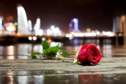 夢(mèng)中的情感紐帶——與男朋友的朋友的奇妙邂逅，夢(mèng)中的情感紐帶，與男朋友的朋友的奇妙邂逅的回憶與體驗(yàn)