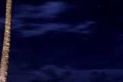 夜深人靜時(shí)的享受——探索睡眠免費(fèi)游戲的魅力，享受寧?kù)o夜晚，探索深度睡眠游戲的魅力