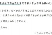 罕見！寶盈基金詭異的基金經理變動！