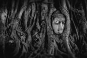 夢(mèng)中遇見的皇后——一場(chǎng)神秘的夢(mèng)境之旅，夢(mèng)中遇見的皇后，神秘夢(mèng)境之旅的邂逅