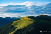 資金分流嚴(yán)重，酒企再迎利空