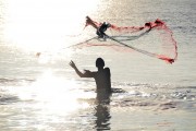 夢(mèng)到魚(yú)，探尋其深層含義，夢(mèng)到魚(yú)，探尋其深層心理含義