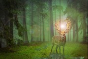 甲蟲游戲的無限可能——探索免費游戲的世界，無盡的游戲宇宙，探索免費游戲世界的新機遇