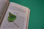 湖南校園注冊攻略，輕松開啟你的大學(xué)生活，湖南校園注冊全攻略，輕松邁入大學(xué)生活新篇章