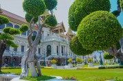 夢中的李子樹，一段心靈的旅程，夢中的李子樹，心靈的旅程之旅